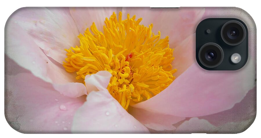 Flower iPhone Case featuring the photograph Beauty Woven In by Judy Hall-Folde