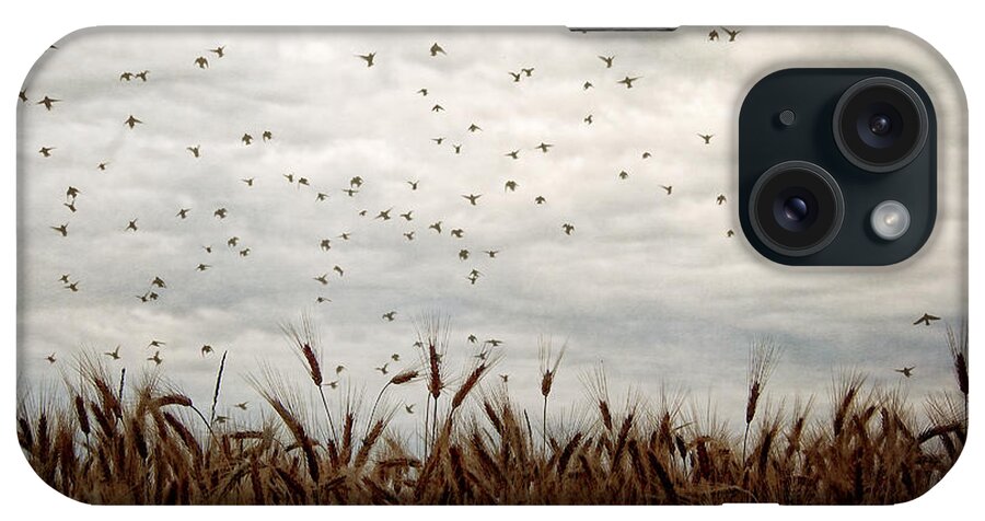 Blackbirds iPhone Case featuring the photograph Because of Them by Angie Rea