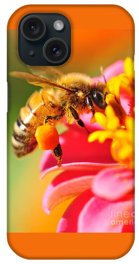 Bee Laden With Pollen iPhone Case featuring the photograph Bee Laden with Pollen by Kaye Menner