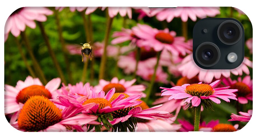 Bee iPhone Case featuring the photograph Bee Line at High Line NYC by Maureen E Ritter