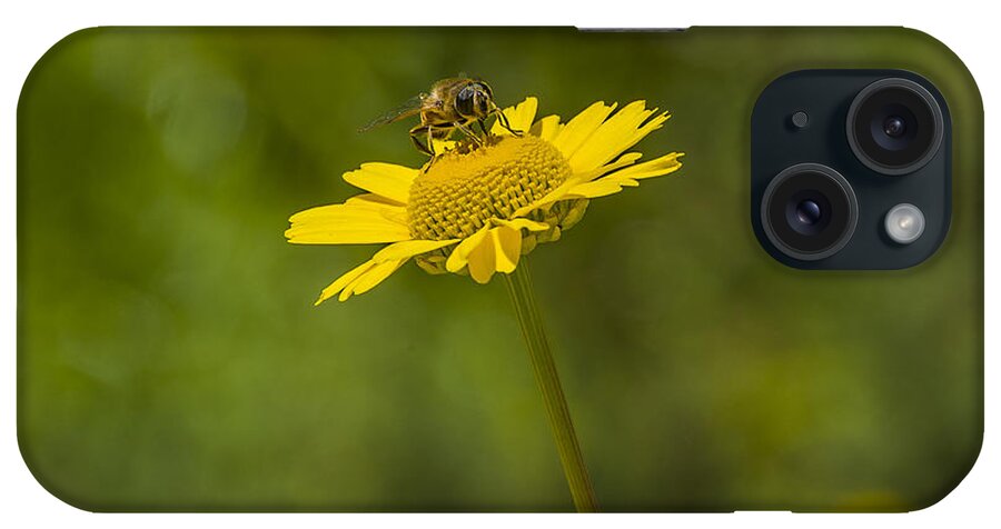 Insect iPhone Case featuring the photograph Bee on flower by Paulo Goncalves
