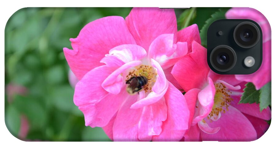Bee iPhone Case featuring the photograph Bee Rosy by Laurel Best