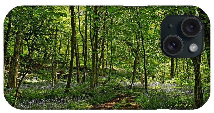 Britain iPhone Case featuring the photograph Bee Wood - Bluebells by Rod Johnson