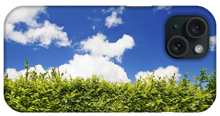 Hedge iPhone Case featuring the photograph Beech Hedge with blue sky by Chevy Fleet