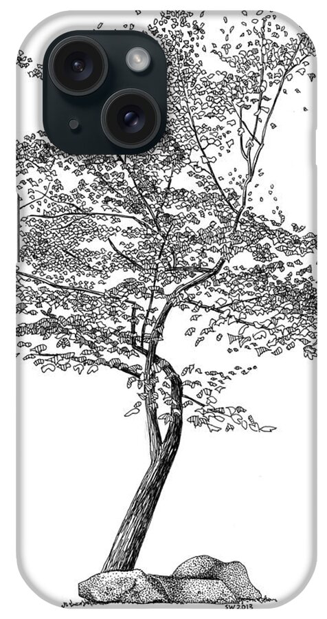 Beech Tree Rapidograph Pen Ink iPhone Case featuring the drawing Beech Tree by Scott Woyak