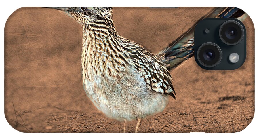 Roadrunner iPhone Case featuring the photograph Beep Beep by Barbara Manis