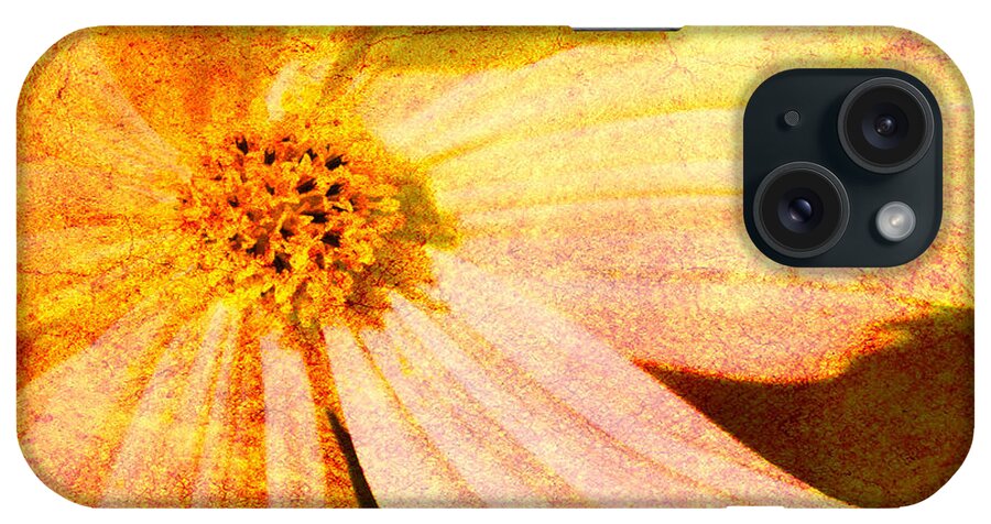 Beggers Tick iPhone Case featuring the photograph Beggers Tick Two by Barry Weiss