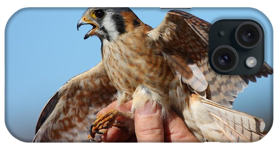 Bird iPhone Case featuring the photograph Behold the American Kestrel by Nathan Rupert