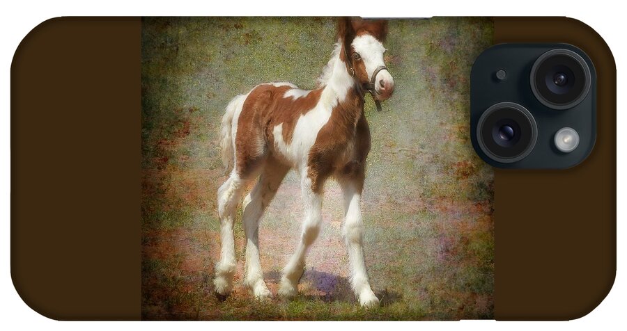 Gypsy Horse iPhone Case featuring the mixed media Bella Rose by Fran J Scott