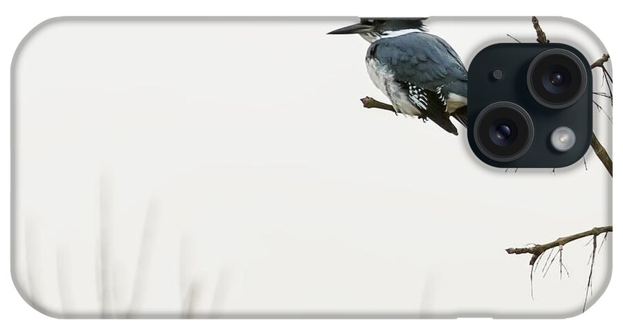 Belted Kingfisher iPhone Case featuring the photograph Belted Kingfisher Looking for Prey in Heavy Fog cr by Belinda Greb