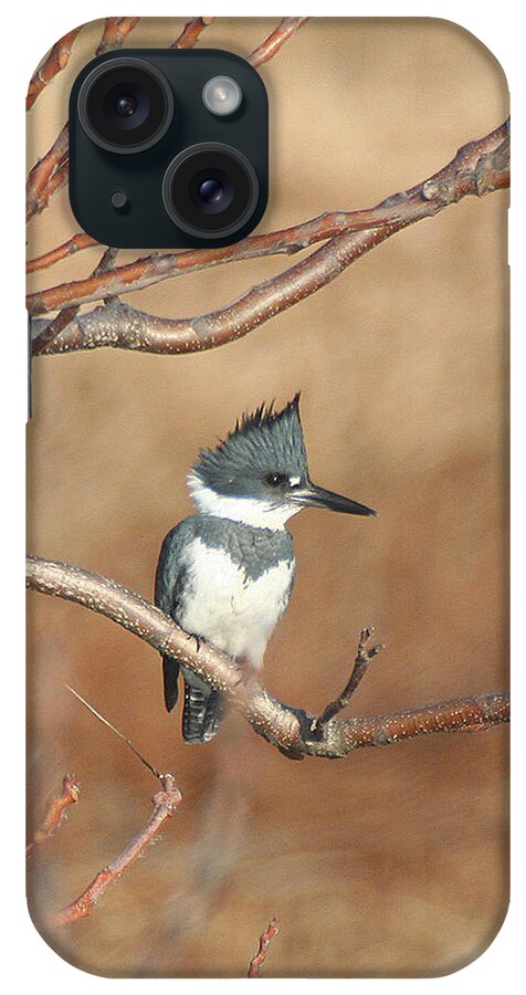 Wildlife iPhone Case featuring the pyrography Belted Kingfisher by William Selander