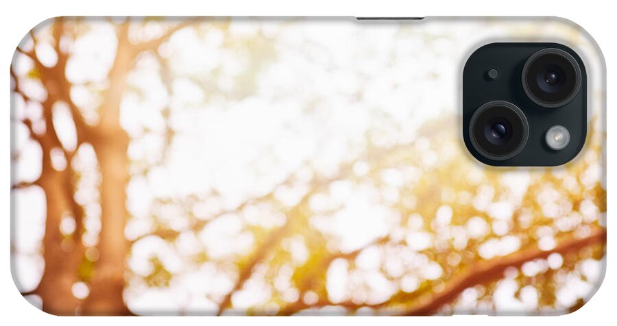Abstract iPhone Case featuring the photograph Beneath a tree 14 5286 square by U Schade