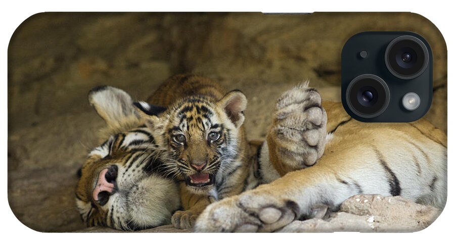 Feb0514 iPhone Case featuring the photograph Bengal Tiger Cub On Sleeping Mother by Suzi Eszterhas