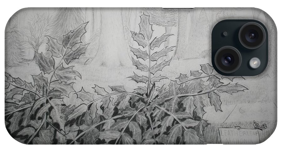 Drawing iPhone Case featuring the drawing Bernheim Forest plant by Stacy C Bottoms