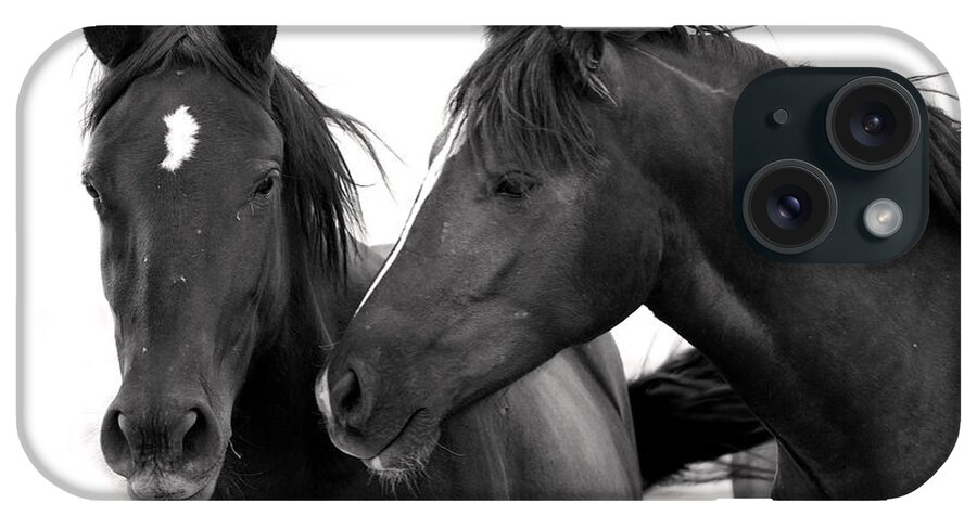 Wild Mustangs iPhone Case featuring the photograph Best Buds Wild Mustangs by Rich Franco