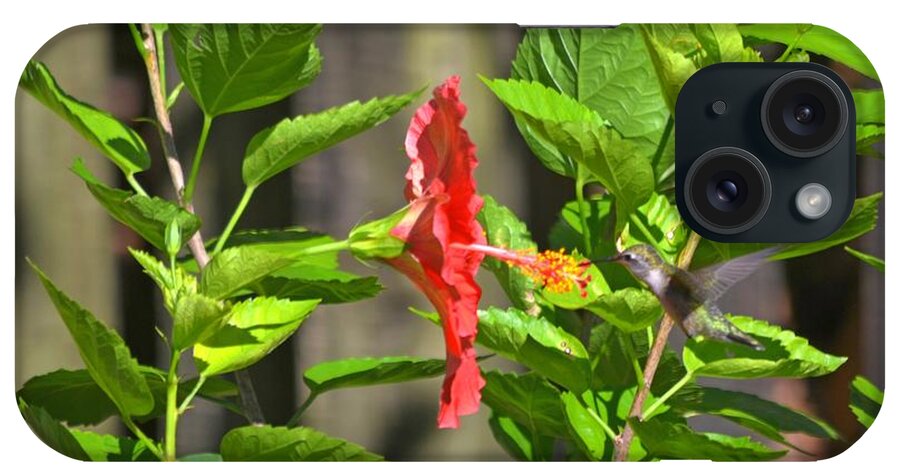 Best iPhone Case featuring the photograph Best Close-Up Green Hummingbird on Red Hibiscus Flower. by Jeff at JSJ Photography