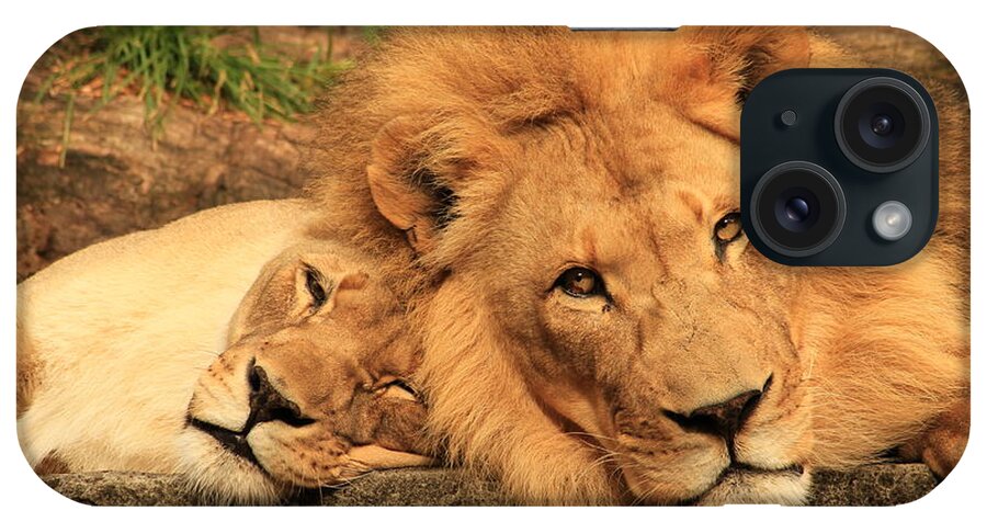 Lion iPhone Case featuring the photograph Best Friends for Life by Laddie Halupa