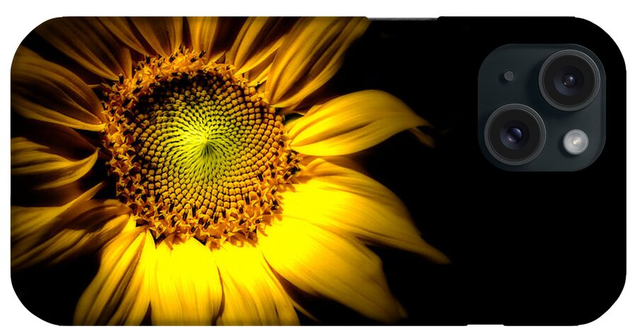 Sunflower iPhone Case featuring the photograph Between Here And There by Bob Orsillo