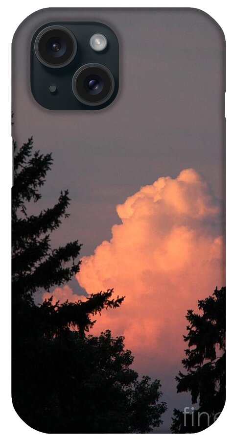 Trees iPhone Case featuring the photograph Between the trees by Yumi Johnson