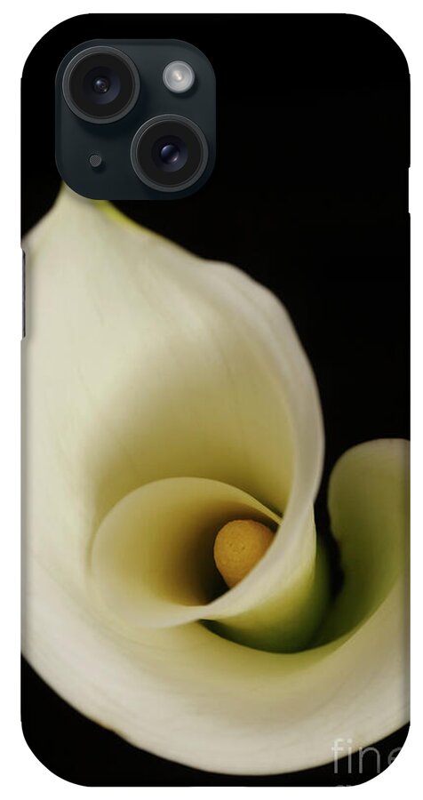Calla iPhone Case featuring the photograph Big Bold Calla Lily on black by Linda Matlow