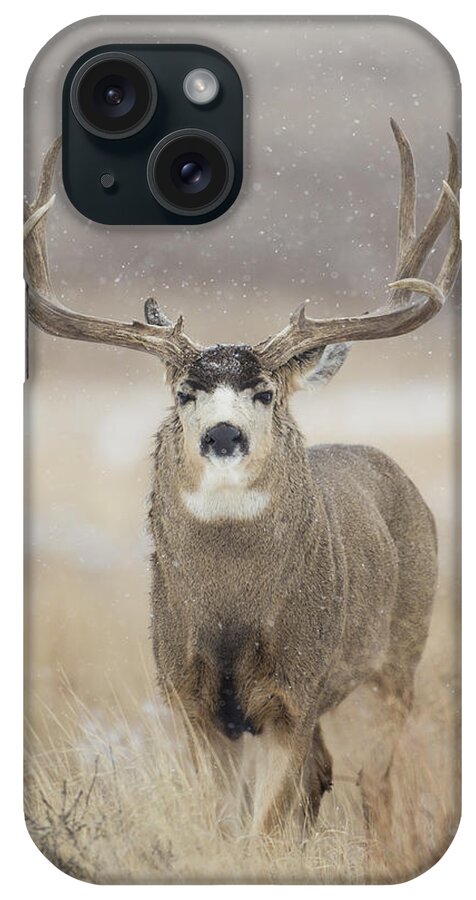 Snow iPhone Case featuring the photograph Big Sky on Snowy Day by D Robert Franz