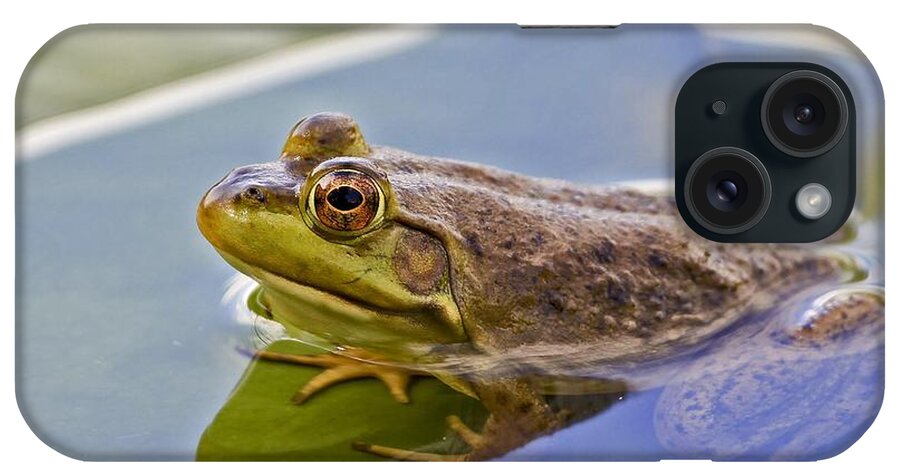 Maine iPhone Case featuring the photograph Big Smiles by Karin Pinkham