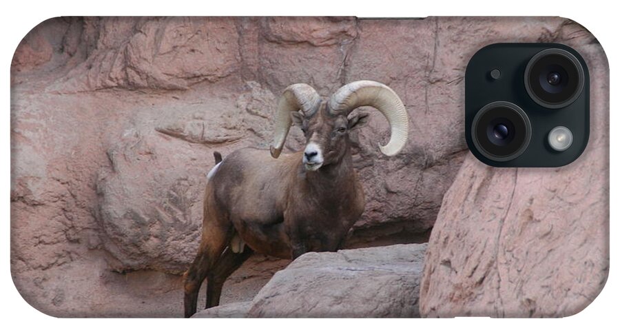 Arizona iPhone Case featuring the photograph Bighorn by David S Reynolds