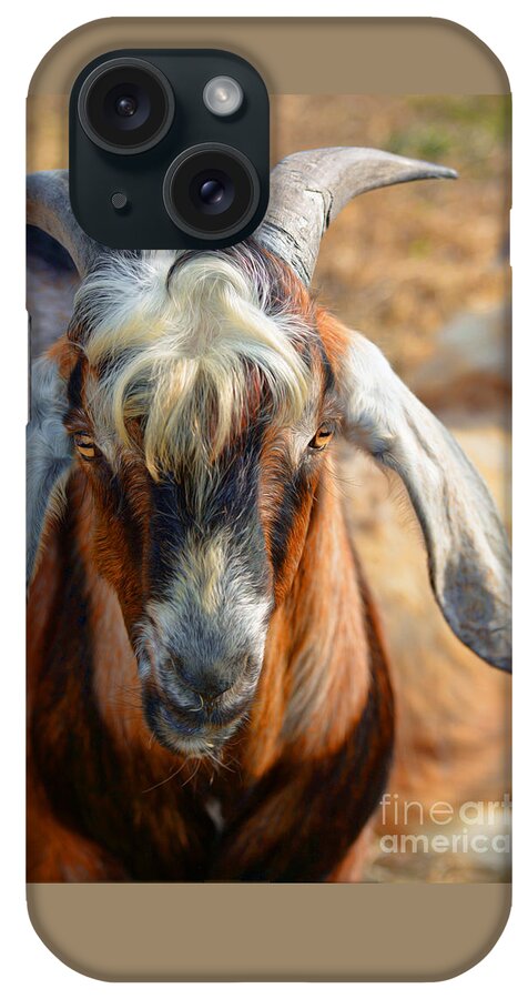 Goats iPhone Case featuring the photograph Billy Goat by Savannah Gibbs