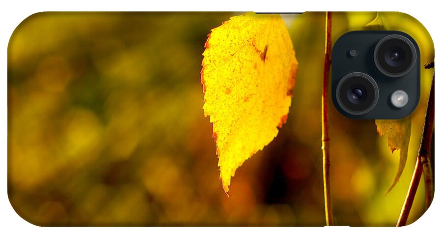 Fall iPhone Case featuring the photograph Birch Leaves by Dariusz Gudowicz