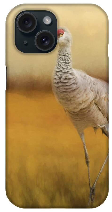 A Quiet Walk iPhone Case featuring the painting Bird Art - A Quiet Walk by Jordan Blackstone