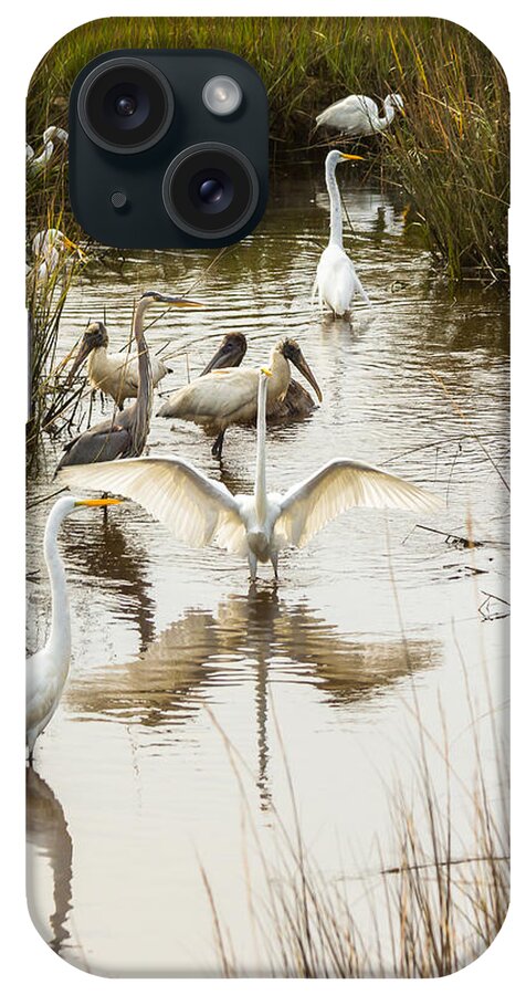 Lowcountry iPhone Case featuring the photograph Bird Brunch 2 by Patricia Schaefer