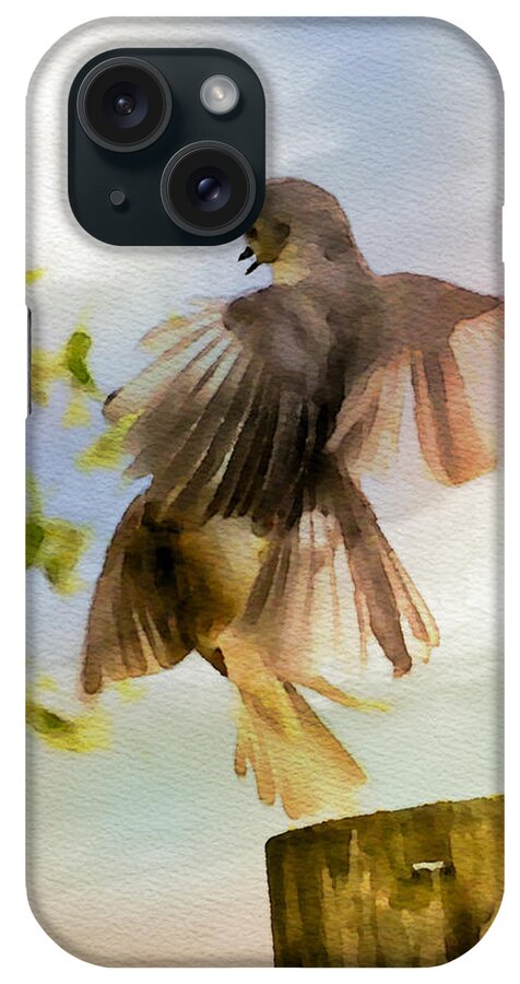 Bird iPhone Case featuring the photograph Bird Dance by Kerri Farley