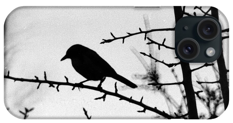 Birds iPhone Case featuring the photograph Bird in B and W by Karl Rose