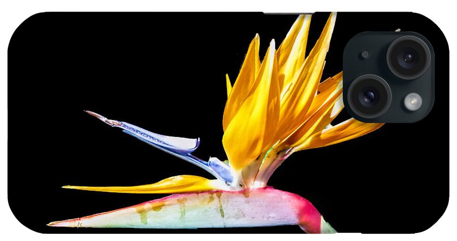 Bird Of Paradise iPhone Case featuring the photograph Bird of Paradise Flower by Lynn Bolt