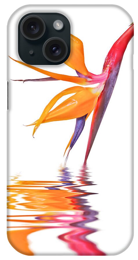 Flower iPhone Case featuring the photograph Strelitzia, Bird of paradise reflections by Delphimages Photo Creations