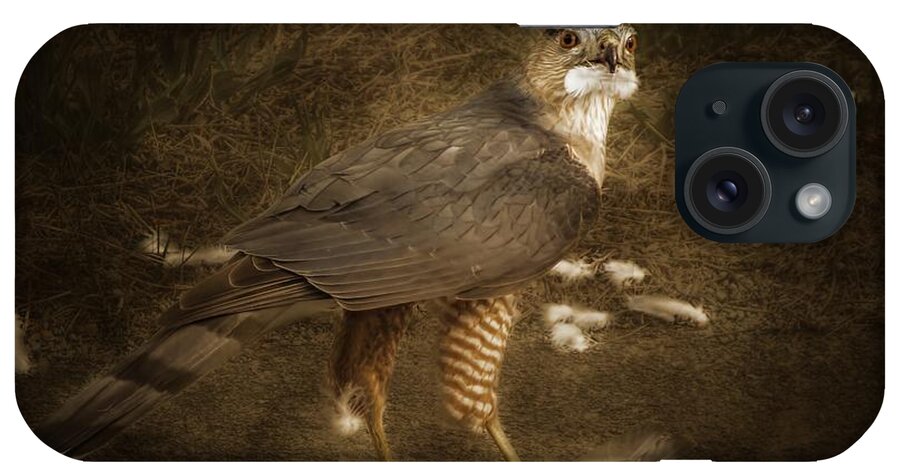 Coopers Hawk iPhone Case featuring the photograph Bird of Prey Cooper's Hawk by Melissa Bittinger