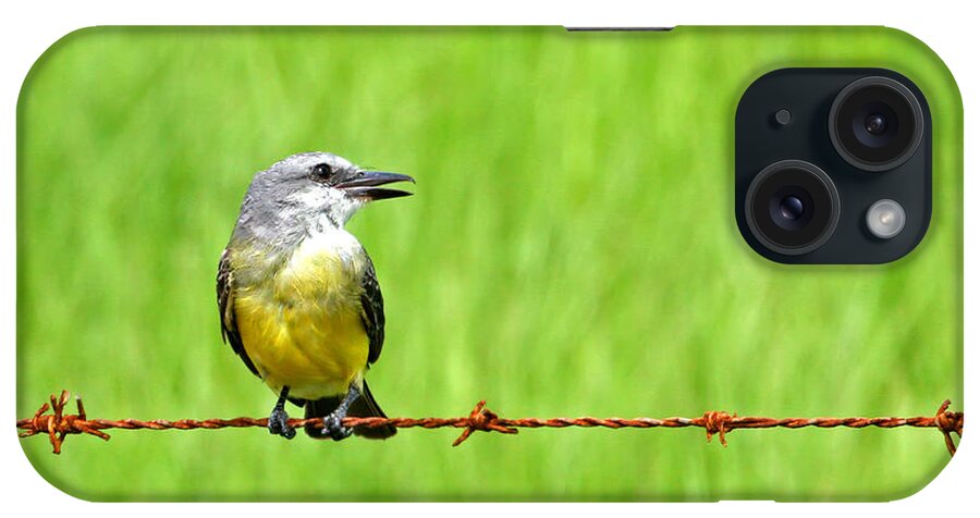 Bird On A Wire iPhone Case featuring the photograph Bird on a Wire by Peggy Collins
