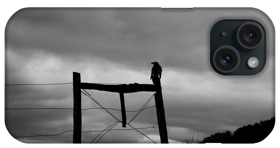 Silhouette iPhone Case featuring the photograph Bird on Fence II by Nancy Mueller
