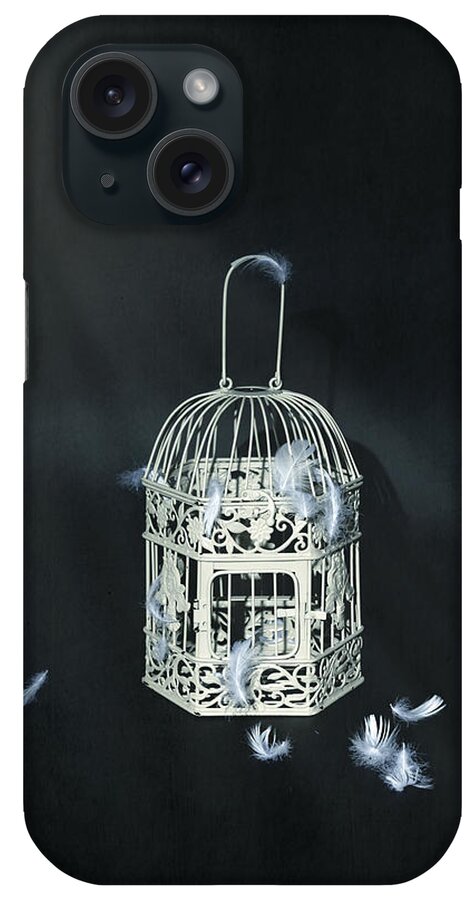 Bird iPhone Case featuring the photograph Birdcage by Joana Kruse