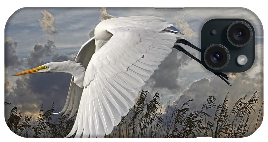 Great Egret iPhone Case featuring the photograph Birds - Beach Beauty - Great Egret by HH Photography of Florida