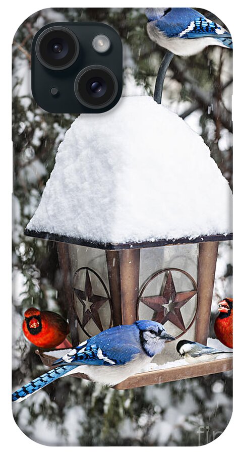 Birds iPhone Case featuring the photograph Birds on bird feeder in winter by Elena Elisseeva