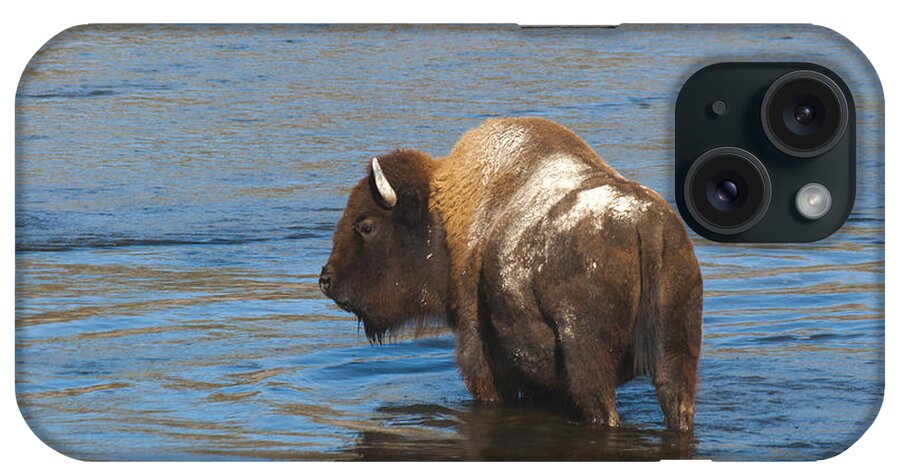 Bison iPhone Case featuring the photograph Bison Crossing River by Gary Beeler