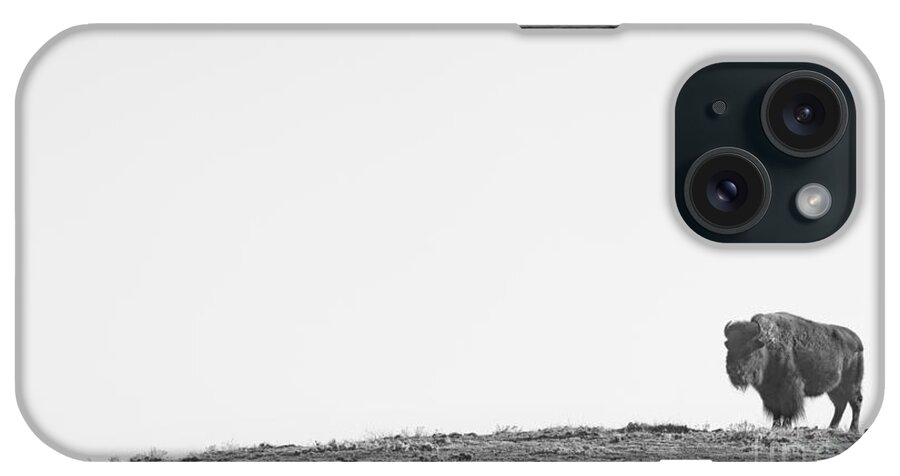 Buffalo iPhone Case featuring the photograph Bison On a Hill BW by James BO Insogna