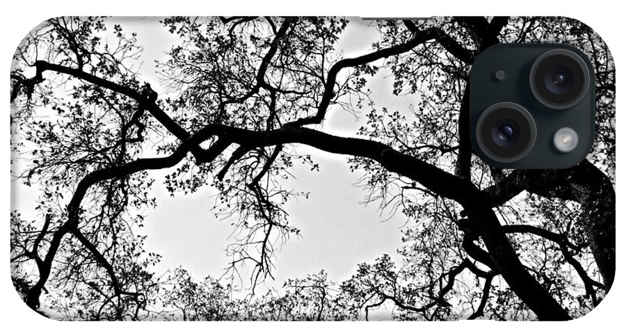 Black And White Elm iPhone Case featuring the photograph Black and White Elm by Christina Ochsner
