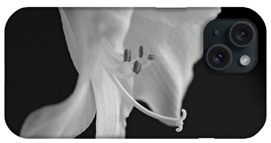 Lily iPhone Case featuring the photograph Black and White Lily by Jayne Carney