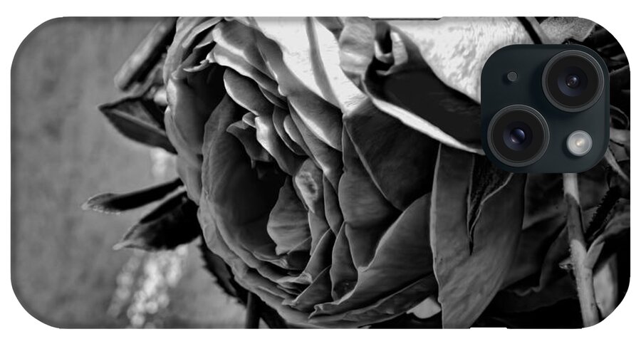 Black And White iPhone Case featuring the photograph Black and white monochrome pink rose in half profile by Leif Sohlman