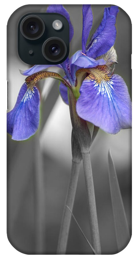 Bearded Iris iPhone Case featuring the photograph Black and White Purple Iris by Brenda Jacobs