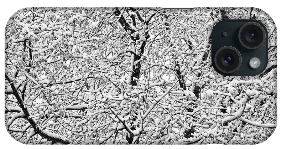 Winter iPhone Case featuring the photograph Black and White Snowy Tree Branches Abstract Six by James BO Insogna