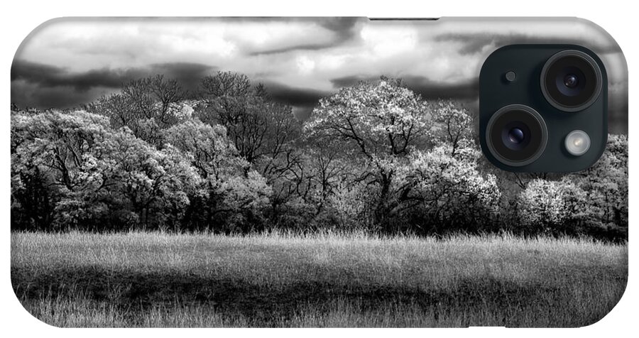 Black And White Trees And Sky iPhone Case featuring the photograph Black and White Trees by Darryl Dalton