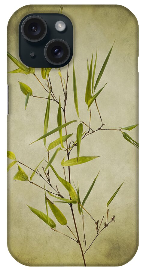 Clare Bambers iPhone Case featuring the photograph Black Bamboo Stem. by Clare Bambers